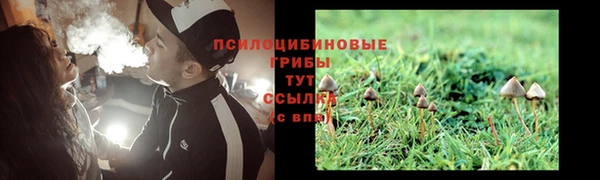 ALPHA-PVP Богородск