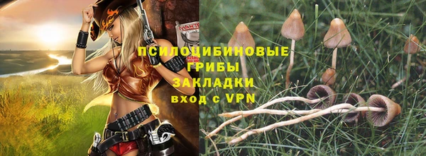 трава Богданович